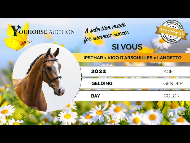Si Vous