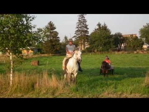 AGROTURYSTYKA GOLIAT ROGOZINA