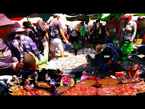 Kilometers 9 Fish Market Scene - Every Day Rural Fish Bring From Another Province For Selling Here