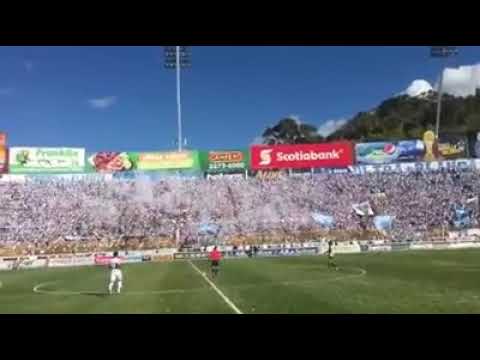 "Recibimiento  al Alianza FC" Barra: La Ultra Blanca y Barra Brava 96 • Club: Alianza