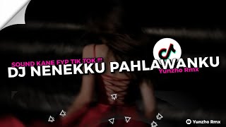 Download lagu DJ NENEKKU PAHLAWANKU || AKU TAK MENANGISIMU HUU HUU HUU || VIRAL TIK TOK SOUND DIASS WG !! mp3