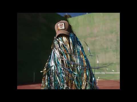 LUIS BREA   "EL VAIVÉN"