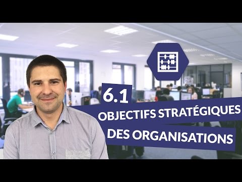 Chapitre 6 : Quels sont les objectifs stratégiques des organisations 1/3 - Management Bac STMG