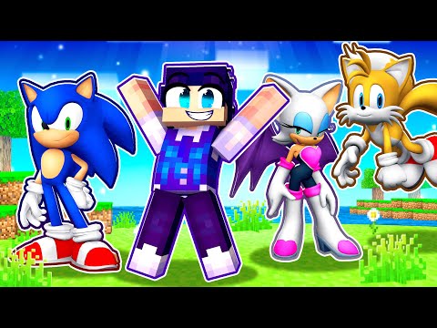 Sonic Family Fun in Minecraft - AndyCraft Madness!