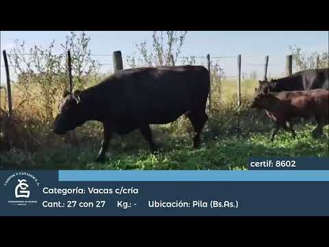 Lote Vc C/ cría Pila Bs As