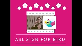 Bird - ASL Sign for Bird