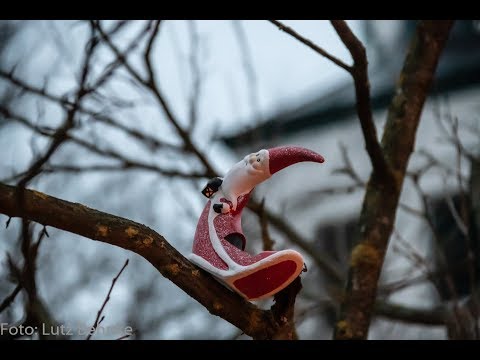 Borkheide News TV vom 17.12.2018