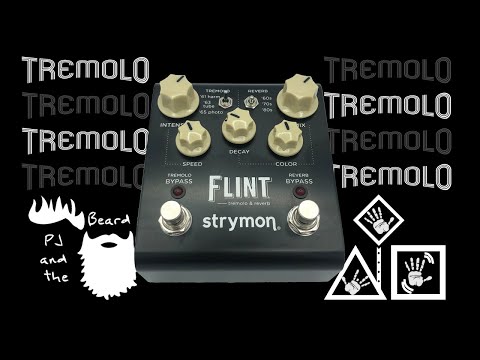 The Flint by Strymon - The Tremolo Series