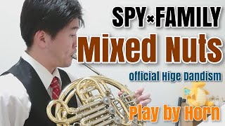 【ホルン】ミックスナッツ/Official髭男dism(アニメ SPY×FAMILY)【演奏してみた】