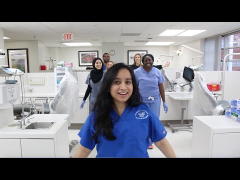 Sugar (Dental School Parody)