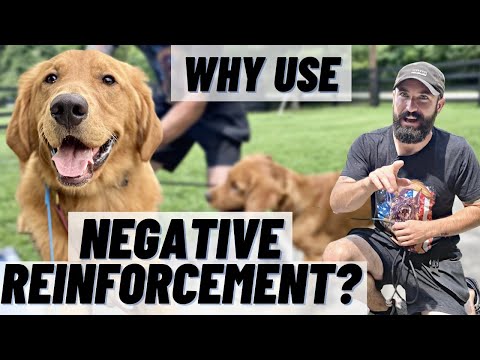WHY Train With NEGATIVE REINFORCEMENT? SIMPLE Breakdown & Demo!