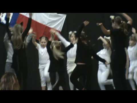 Na okně seděla kočka