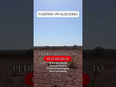 198 Alqueires em Pedro Afonso-TO \ whatsapp 62 99373-6407
