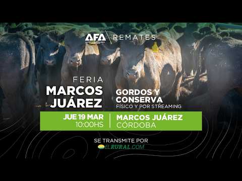 Remate AFA Gordos y Conserva desde Marcos Juárez Córdoba
