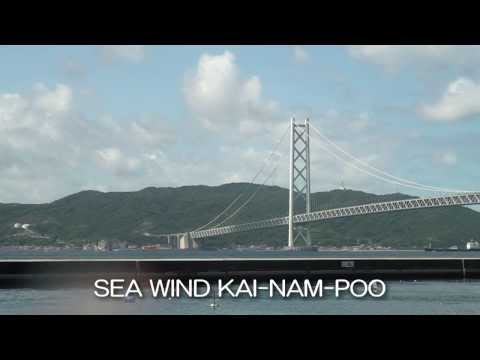 クリスタルキング   海南風(Kai-Nam-Poo)