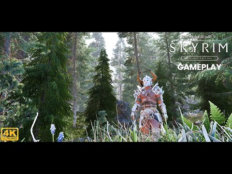 SKYRIM SE Ultra Modded Gameplay Part 2 (4K 60FPS ) w/modlist