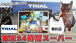 安いと評判の激安スーパー トライアルはホントにお安いんですか!?【猫ミーム】