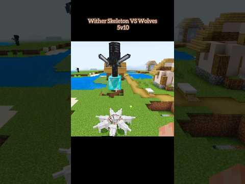 Insane Minecraft Battle: 10 Wolves VS 5 Wither Skeletons