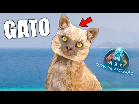 HOW TO TAME A CAT AND ALL ITS SKILLS (PC, PS, AND XBOX) - ARK Survival Ascended