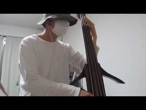 Sting- She's too good for me Bass Cover