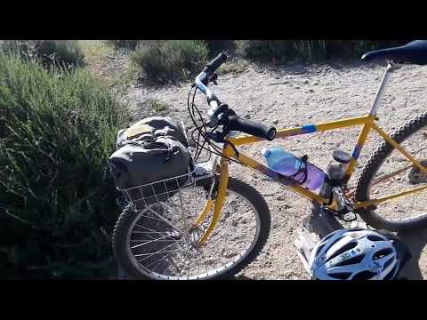 1988 Specialized Rockhopper dinosaur