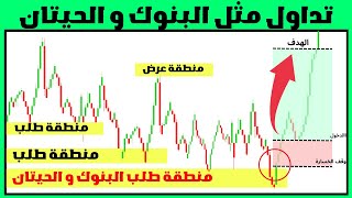 Supply and Demand Trading Guide — Step-by-Step Guide & Transcript