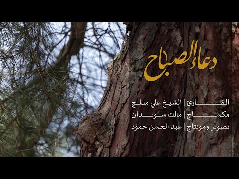 دعاء الصباح الشيخ علي مدلج