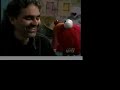 Elmo and Andrea Bocelli