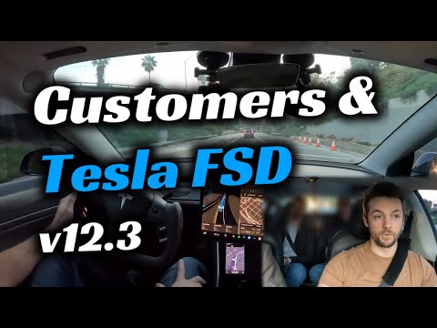 Tesla's FSD Beta v12.3 is Working Hard! | Customer Reactions! Ep 66