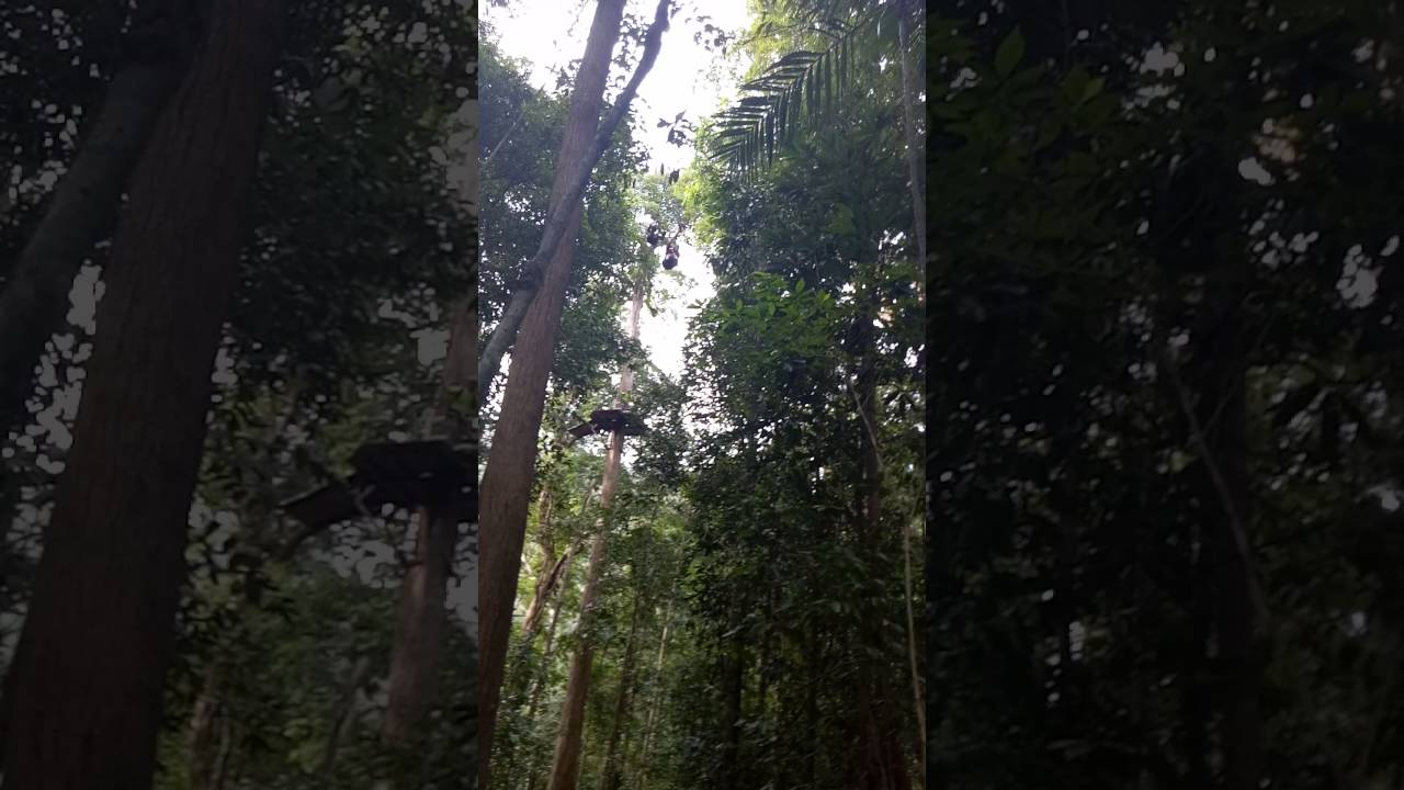 YouTube Short thumbnail