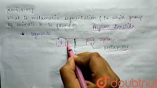 What is metameric segmentation ? In which group of animals it is found? | CLASS 11 | ANIMAL KING...