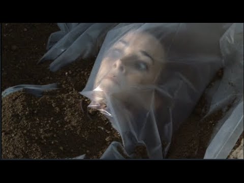 Renee shot and buried - 24 Season 7