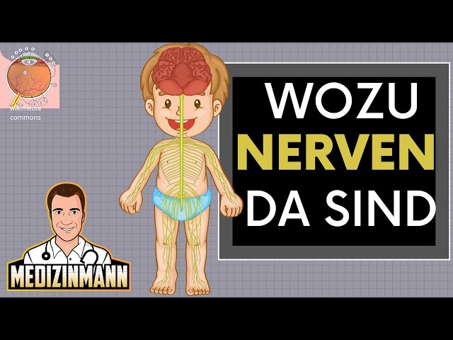 Video Uitspraak van nerven in Duits