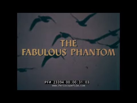 DER FABELHAFTE PHANTOM II F-4 PHANTOM MCDONNELL DOUGLAS FLUGZEUGFILM 23394