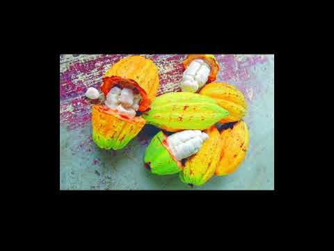 WhatsApp Video 2025 10 24 at 09 19 58 3