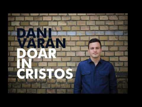 Dani Văran - Tu esti apa vieti