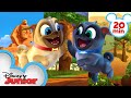 Bingo and Rolly Travel Around Africa! 🌍| Compilation | Puppy Dog Pals | Disney Junior