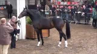 Video von Sligo Candy Boy