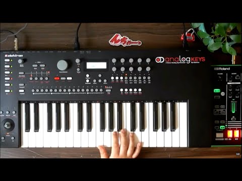 Elektron Analog Keys Synthesizer is BACK! // Dawless Jammin' [ Ep. 10 ]