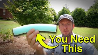 Staking Trees Wrong Will Destroy Them | Do This Instead