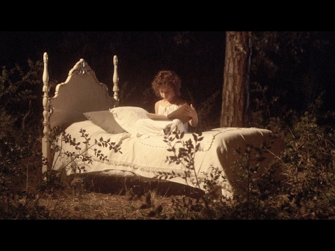 Dàmaris Gelabert - El núvol de la son (Videoclip oficial) #cançonsinfantils #família