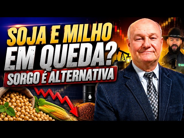 Soja e milho em queda? Sorgo é alternativa.