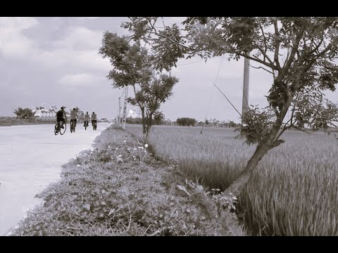 Xóm quê ven đô - Hồng Tước