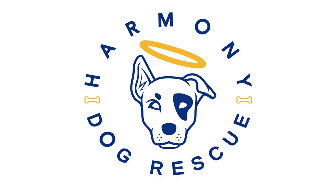 Harmony Dog Rescue - What we do