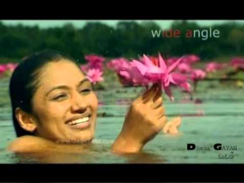 Nanadunana Sihinaya Wela | Romesh Sugathapala NEW SONG