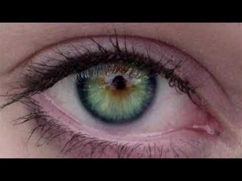 Elvir Pelivani - Tvuje oci zeljene