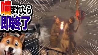 噛まれたら即終了 バイオハザードRE:4 / part419