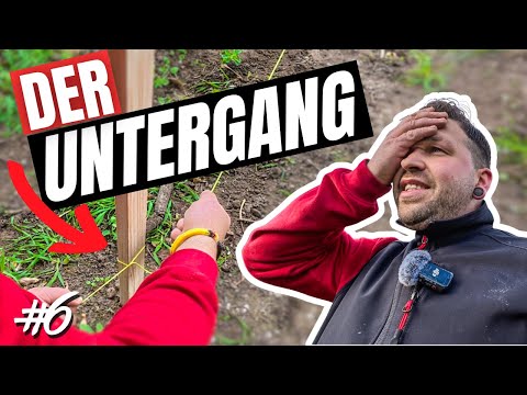 Marking out and measuring heights ⎮simply too much EARTH 🤯