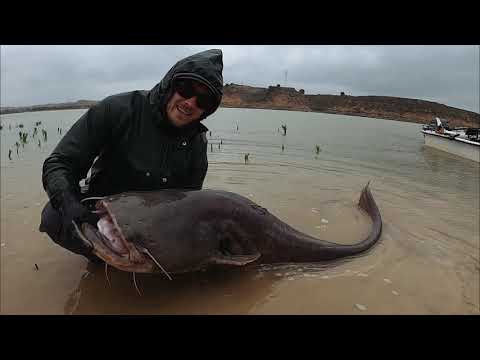 Rio Ebro 2022 - Spinning and vertical fishing for European catfish