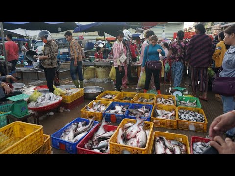 Chhbar Ampov Fish Market Show - Morning Daily Activities & Lifestyle of Fish Vendor in Town